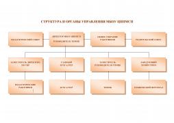 Структура и органы управления МБОУ ЦППМСП